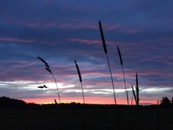 12_pink_sky_on_tug_hill_plateau.jpg