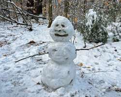 Forest snow man Photo: Sheri Larsen