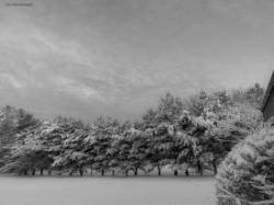 Winter in December Photo: Claire Coleman