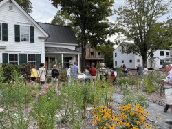 Garden party remarks Photo: Meghan McCarthy McPhaul