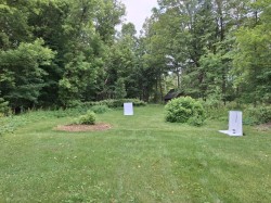 Moth ball Photo: Emily S. Rowe