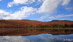 Fall colors Photo: Eric D’Aleo