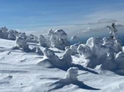 Snowy Mountain Photo: Todd Horn