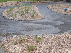 Water flow Photo: Emily S. Rowe