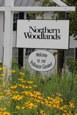 Garden welcome Photo: Ann Little