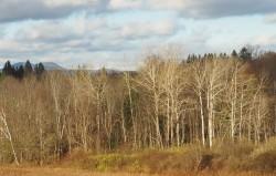 Greylock Photo: Clare Lise Kelly