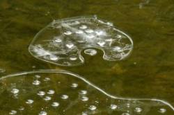 Frozen Ice Pond Photo: Ken Hatch