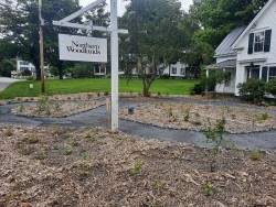 Heavy rain flow Photo: Emily S. Rowe
