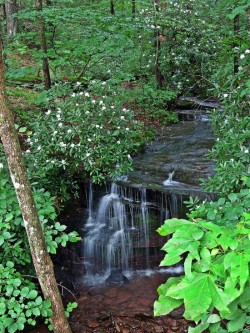 Little Bonnell Run Photo: Charlie Schwarz