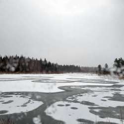 Pond circles Photo: Becky Silvis