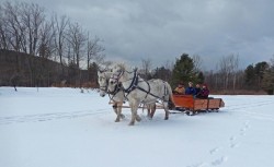 Sleigh Ride Photo: Patricia Liddle