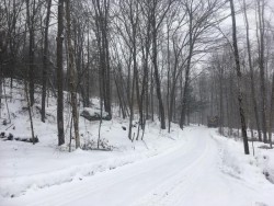 Snowy Truck Photo: Alex Barrett