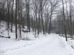 Snowy Truck Photo: Alex Barrett