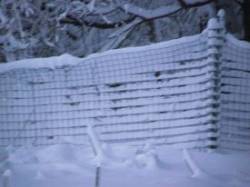 14_tom_snow_fence.jpg