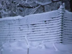 14_tom_snow_fence.jpg
