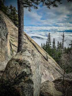 Blueberry ledges Photo: Danielle Durocher