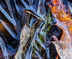 First ice Photo: Steven Arcone