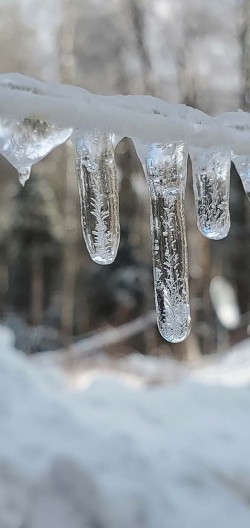 Frozen ice Photo: Sue Lichty