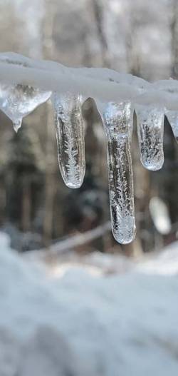 Frozen ice Photo: Sue Lichty