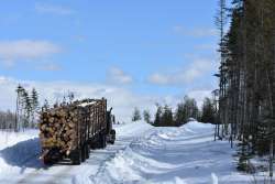 Log truck Photo: Lonnie Jandreau