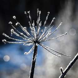 Snow fireworks Photo: AM Dannis