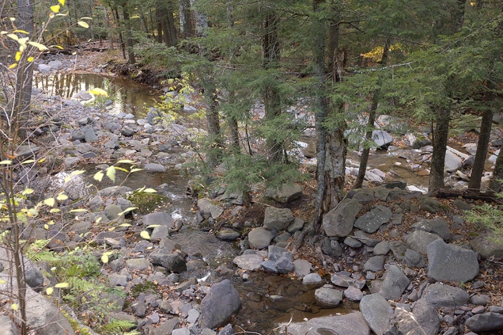 A New Resource to Support Rural Black Landowners