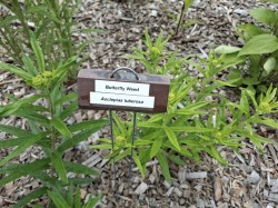 Plants are labeled Photo: Emily S. Rowe