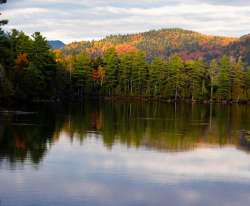 Foliage Photo: Michael Wilson