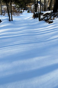 Snowy Road Photo: Jennifer Edmondson