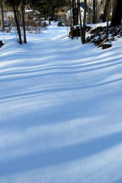 Snowy Road Photo: Jennifer Edmondson