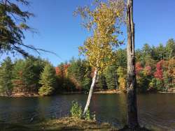 Stewarts Pond Photo: Rodney Johnson