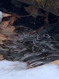 Stream ice Photo: Marie Martell
