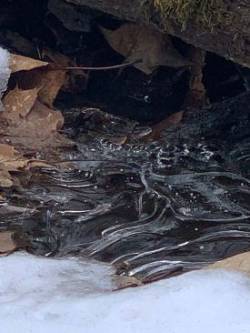 Stream ice Photo: Marie Martell