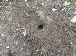 Turtle Hole Photo: Gordon Gould