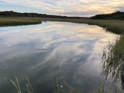 Evening light Photo: Don JJ Maki