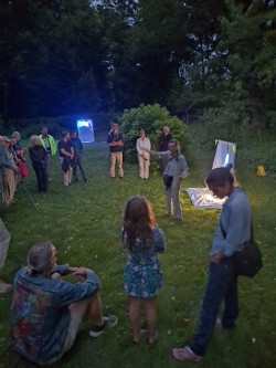 Moth ball introduction Photo: Emily S. Rowe