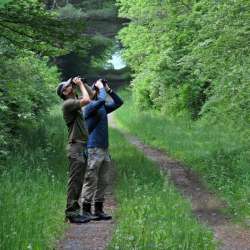 Bird watching Photo: Charlie Schwarz