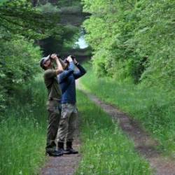 Bird watching Photo: Charlie Schwarz