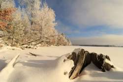 Ice Trees Photo: Anne Small