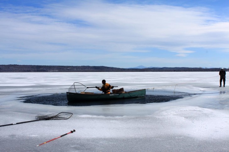 Loon rescue