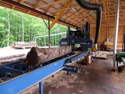 17_sawing_butternut_-_irion_lumber_co.jpg