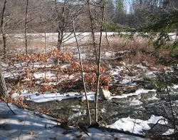 17_whetstone_Brook.jpg