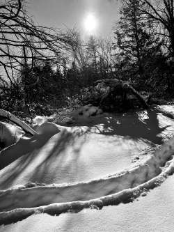 Wildlife snow path Photo: Kirk Gentalen