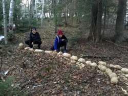 Beaver activity Photo: George Wheelwright