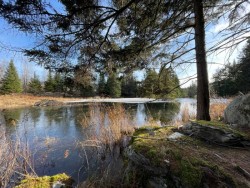 Beaver pond Photo: Pennie Rand