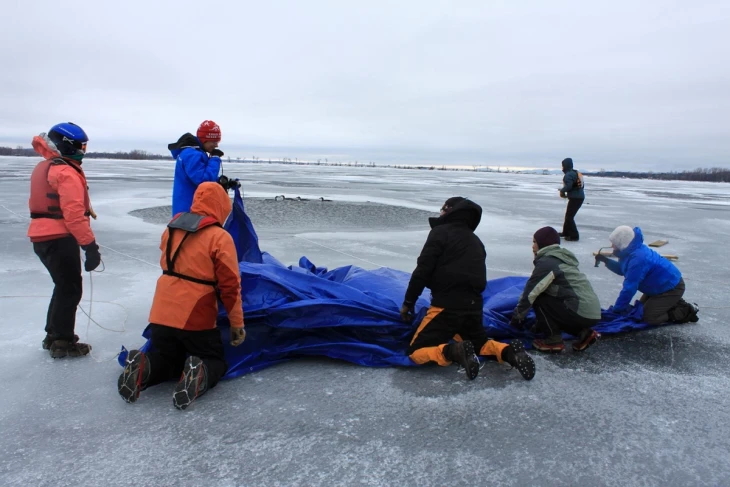 Loon rescue
