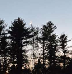 Crescent moon Photo: Stephen Fox