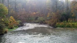 Fishing Hole in Morning Photo: Sue March