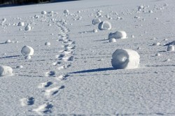 Snow Rollers Photo: Michael Gudreau