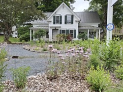 Early summer Photo: Emily S. Rowe